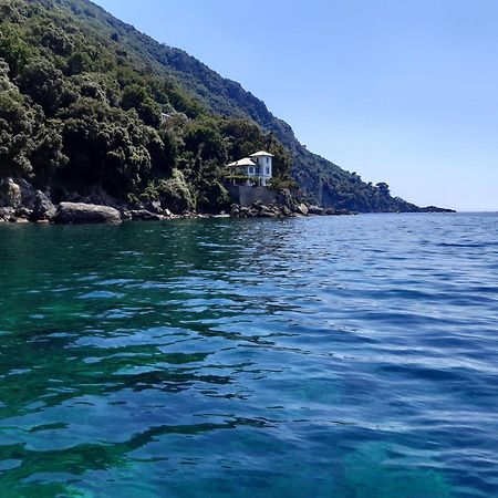 Villa Albachiara Camogli Extérieur photo