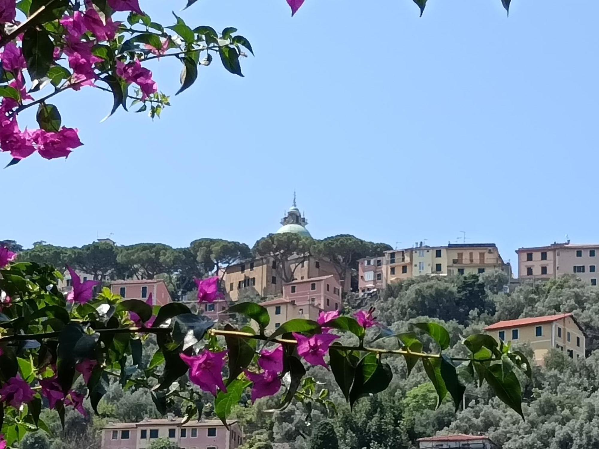 Villa Albachiara Camogli Extérieur photo