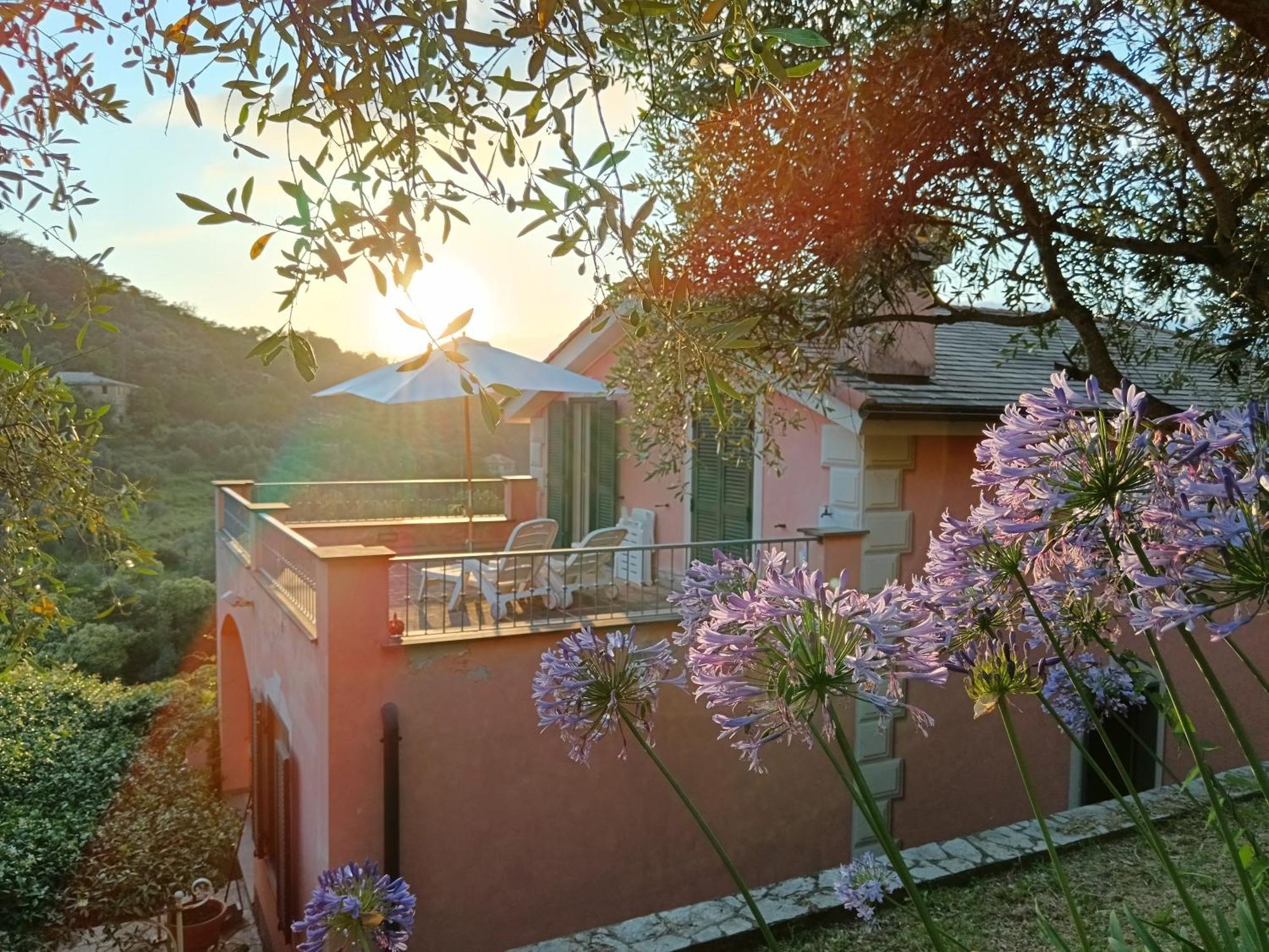 Villa Albachiara Camogli Extérieur photo