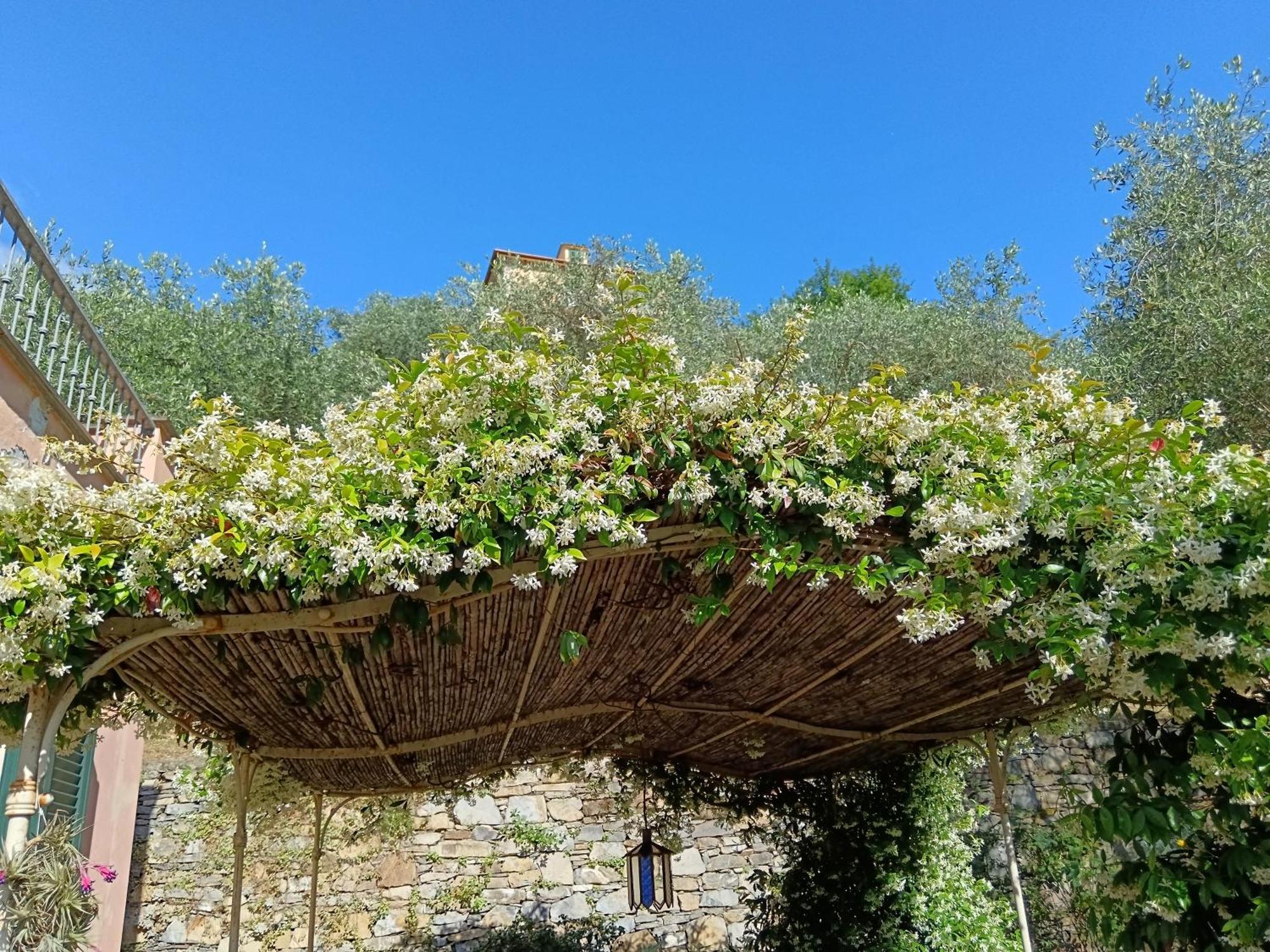 Villa Albachiara Camogli Extérieur photo